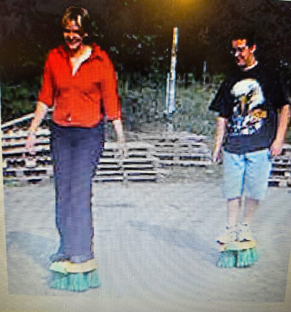 oud holl schilpadden race